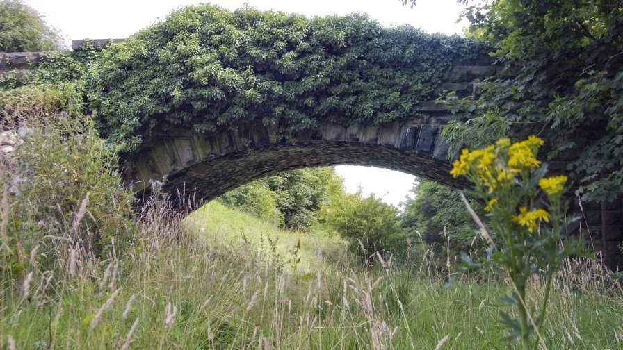 Abandoned Bridge and Beautiful Good Day