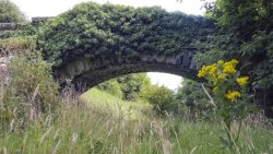 Abandoned Bridge and Beautiful Good Day