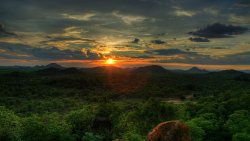 African Forest Sunset Landscape Wide