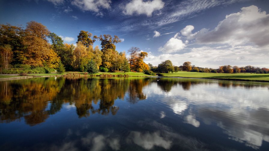 Amazing Beautiful Big Lake and Green Forest