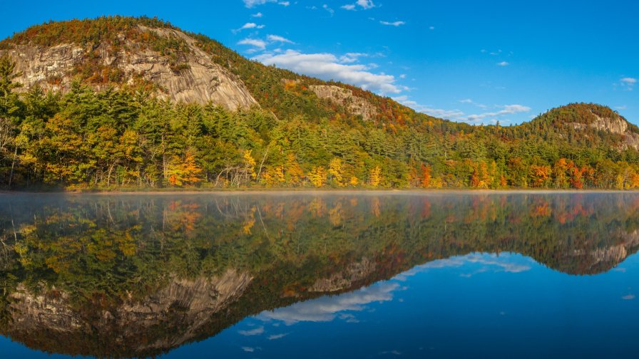 Amazing Beautiful Forest in New Hampshire