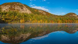 Amazing Beautiful Forest in New Hampshire