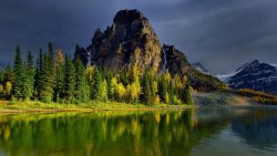 Amazing Beautiful Mountain Lake and Forest