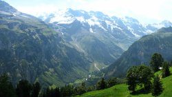 Amazing Beautiful Mountains and Forest