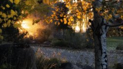 Amazing Beautiful Sunset in Old Autumn Garden