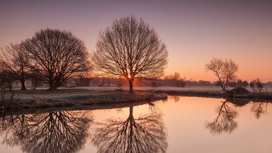 Amazing Beautiful Winter Lake and Single Trees