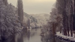 Amazing Beautiful Winter River in the Forest