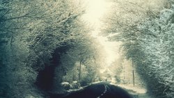 Amazing Beautiful Winter Road