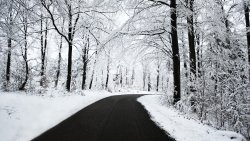 Amazing Beautiful Winter Road