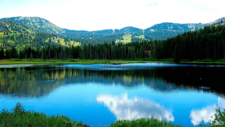 Amazing Big Lake in Green Mountain Forest