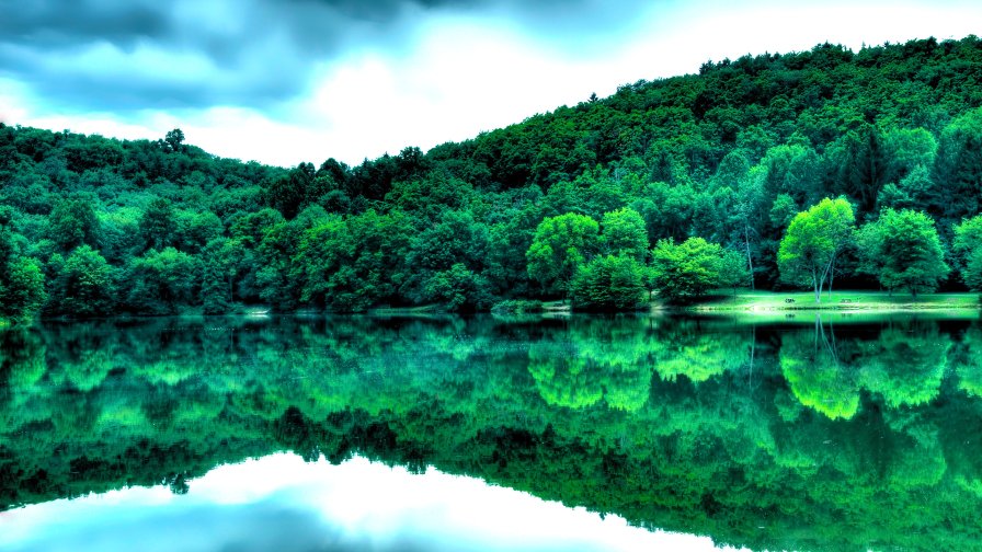 Amazing Green Forest and Lake