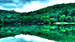 Amazing Green Forest and Lake