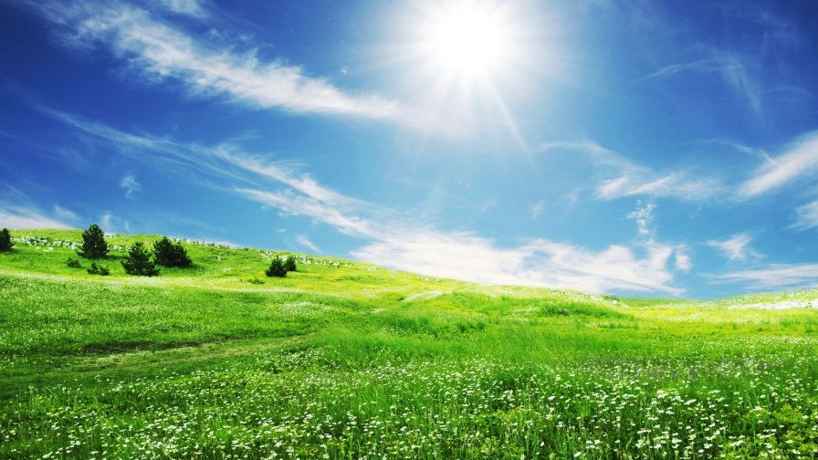Amazing Green Valley