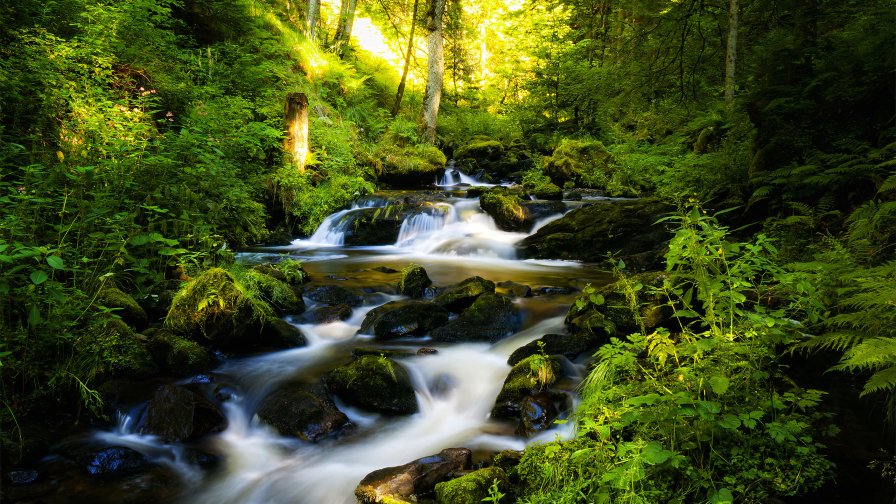 Amazing Landscape Waterfall