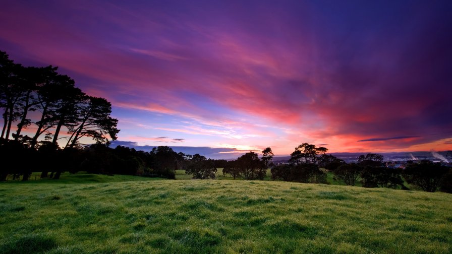 Amazing Pink Sunset and Green Field