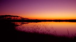 Amazing Purple Sunset