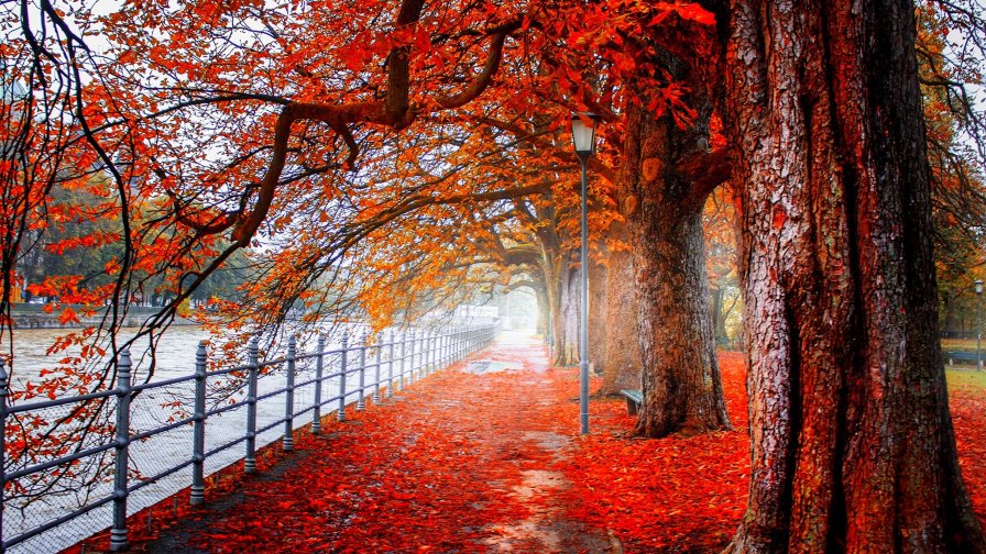 Amazing Red Autumn Park and River in the Big Old City