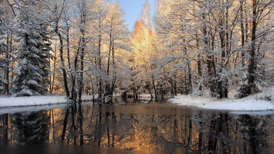 Amazing Winter River in Forest