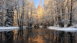 Amazing Winter River in Forest