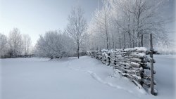 Amazing Winter in Village