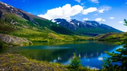 Argentina Patagonia Lake Green Forest and Mountains