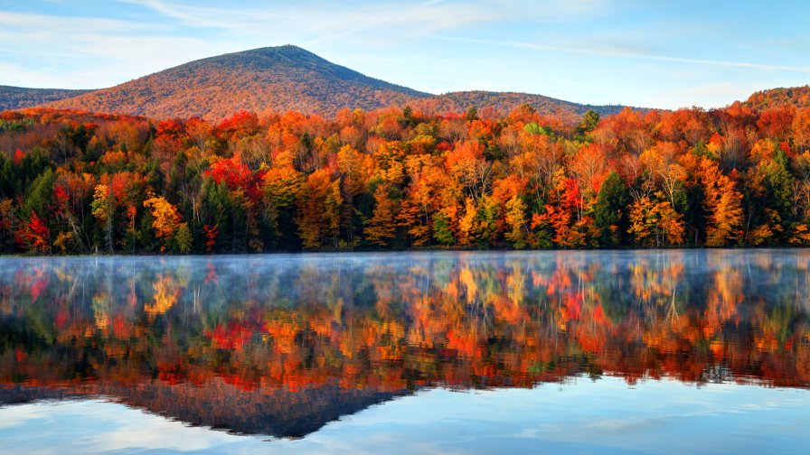 Autumn Beautiful Lake Forest and Mountain