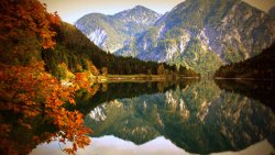 Autumn Lake and Yellow Forest with Mountains
