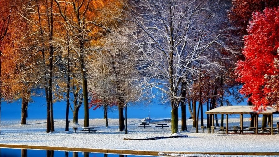 Autumn and Winter