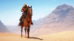 Battlefield 1 Soldier in Gasmask on the Horse