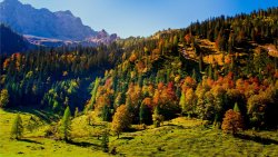 Beautiful Autumn Forest and Mountain