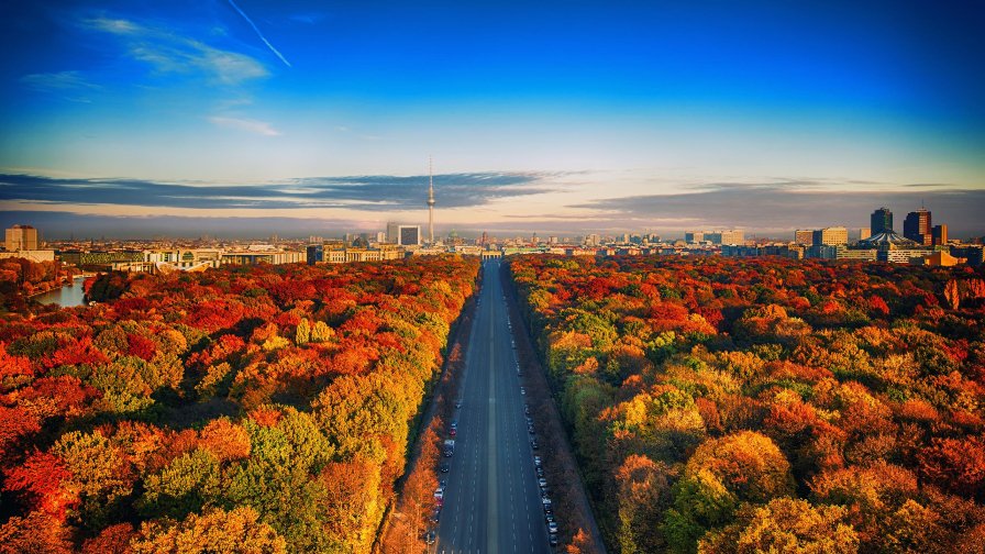 Beautiful Autumn Forest and Road