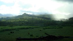 Beautiful Green Forest and Mountain Valley