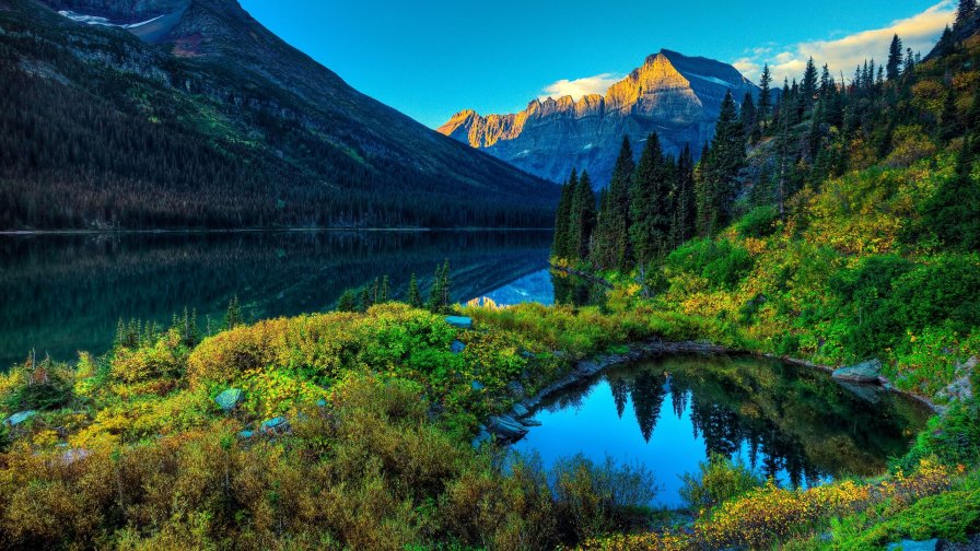 Beautiful Green Forest and Pure Lake