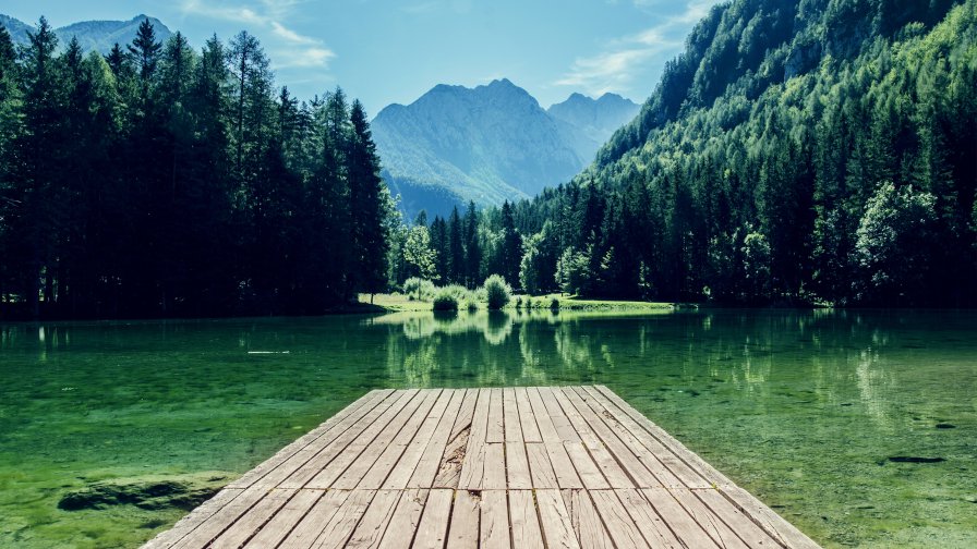 Beautiful Green Forest with Lake