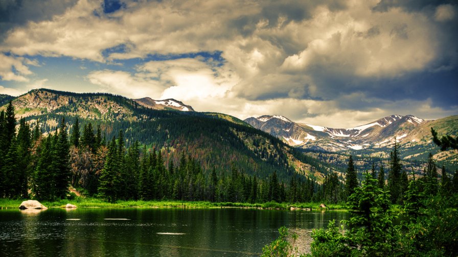 Beautiful Green Pine Forest River and Mountains