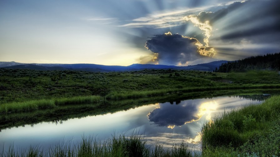 Beautiful Green Sunset Forest and Lake