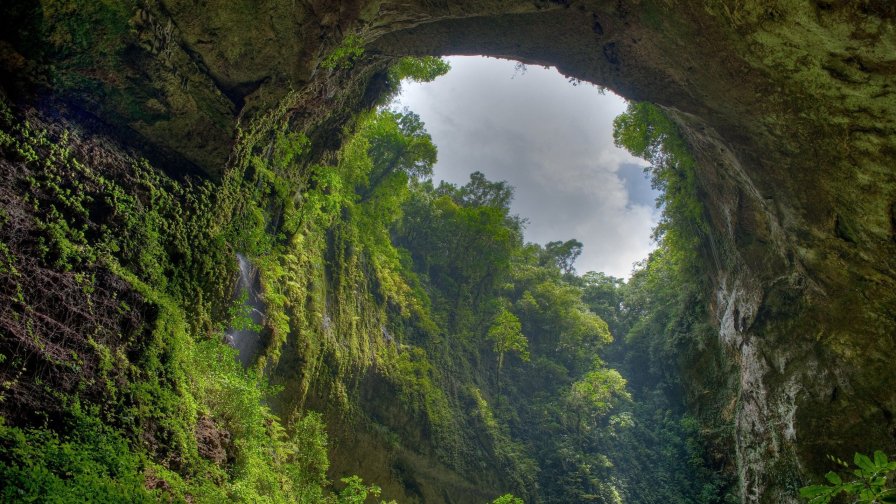 Beautiful Green Valley and Old Forest