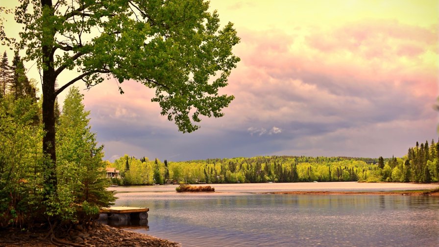 Beautiful Lake and Green Forest in Canada