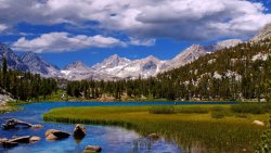 Beautiful Mountain Valley River Trees and Grass