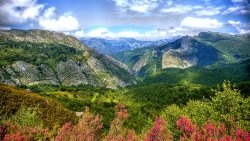 Beautiful Mountains Green Forest