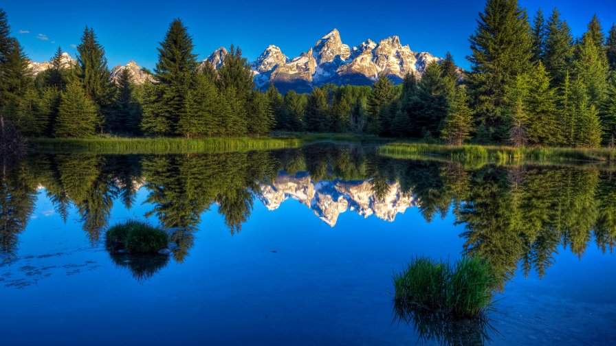 Beautiful Mountains Pure Lake and Pine Forest