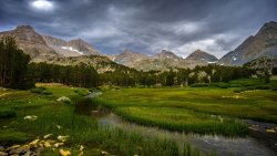 Beautiful Mountains River and Swamp in California