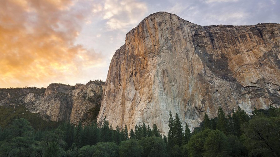 Beautiful Mountains and Forest at Sunset