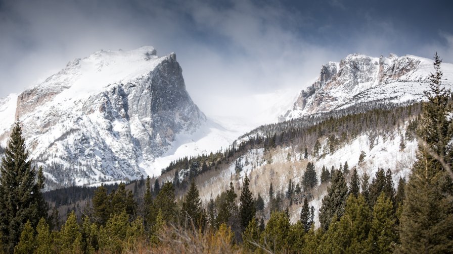 Beautiful Mountains and Old Forest