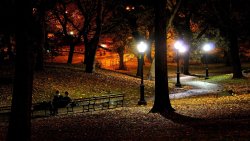 Beautiful Night Park in City