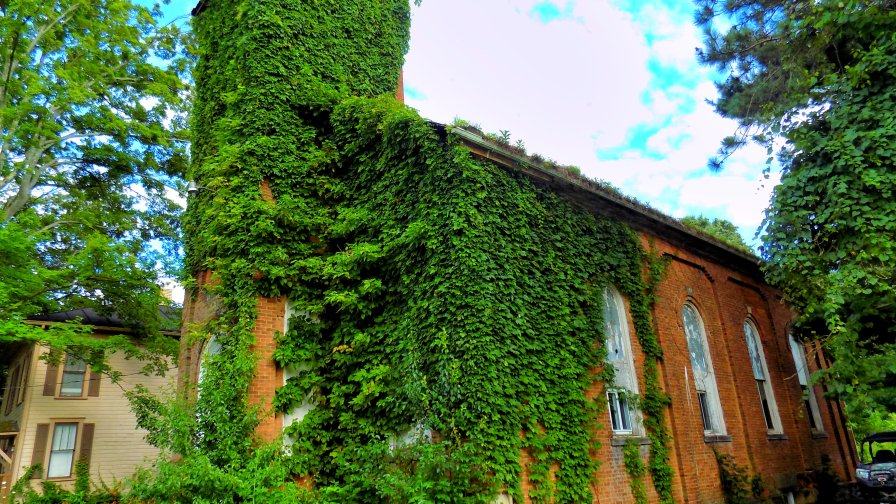 Beautiful Old Big Abandoned House with Grass on the Wall