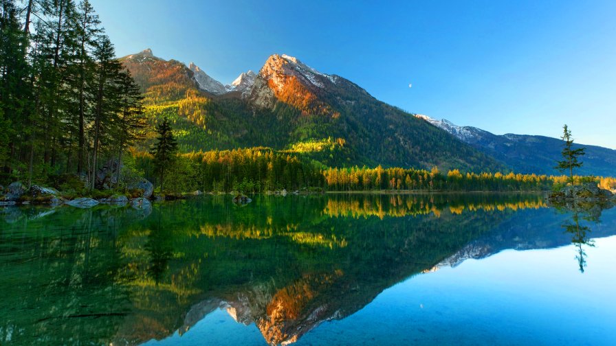 Beautiful Pure Lake and Forest in Mountain Valley