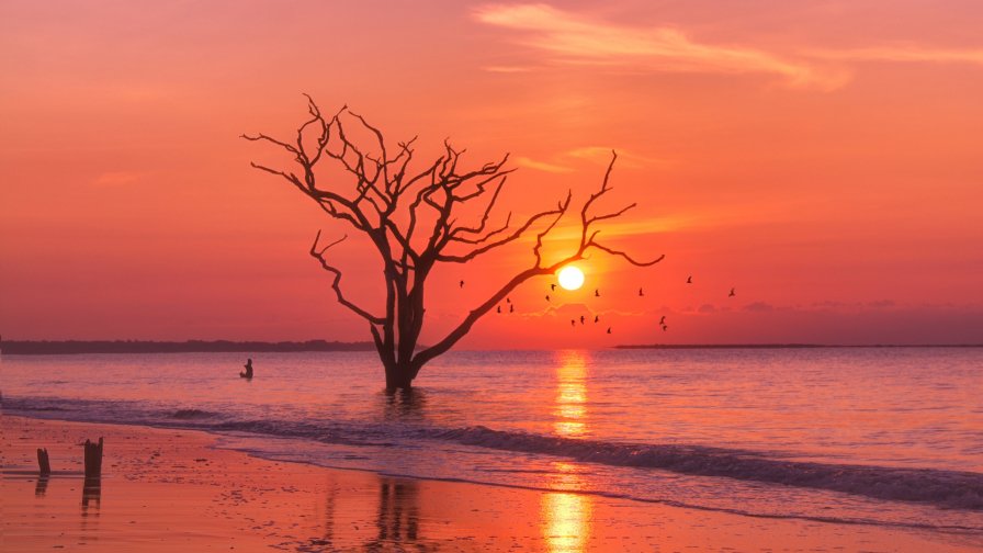 Beautiful Red Sunset and Horizon