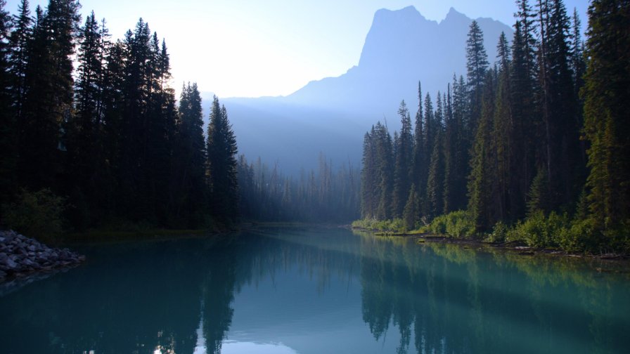 Beautiful River in Forest Valley