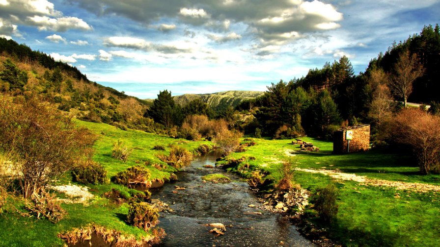 Beautiful River in Mountain Forest